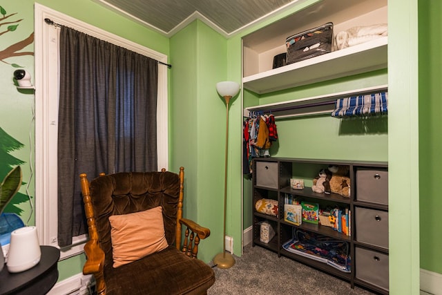 living area with carpet floors