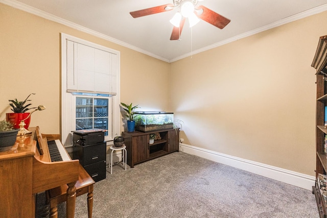 office featuring ceiling fan, ornamental molding, and carpet floors