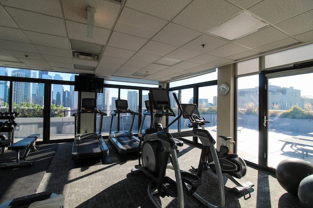 exercise room featuring a paneled ceiling, expansive windows, a healthy amount of sunlight, and carpet flooring