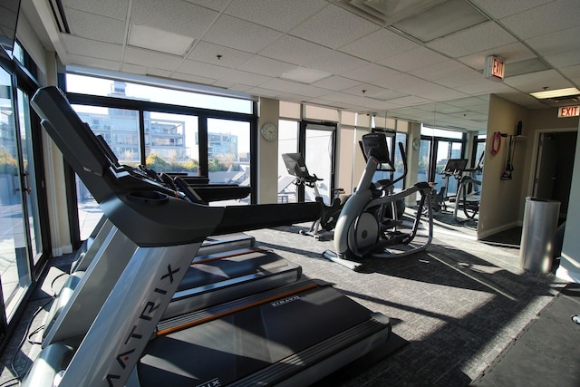 gym with a paneled ceiling and a wall of windows