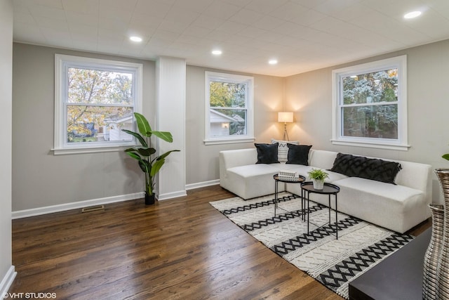 living room featuring dark hardwood / wood-style floors and a wealth of natural light