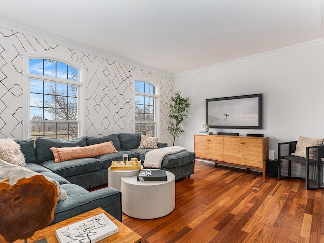 living room featuring crown molding and dark hardwood / wood-style flooring