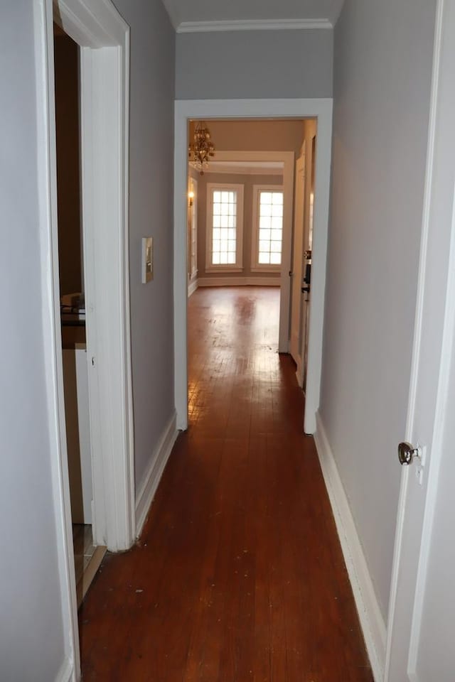 hall with dark hardwood / wood-style flooring and crown molding