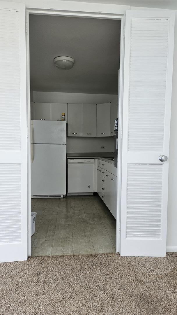 4800 S Chicago Beach Dr Unit 1404S, Chicago, IL 60615 - view of laundry area