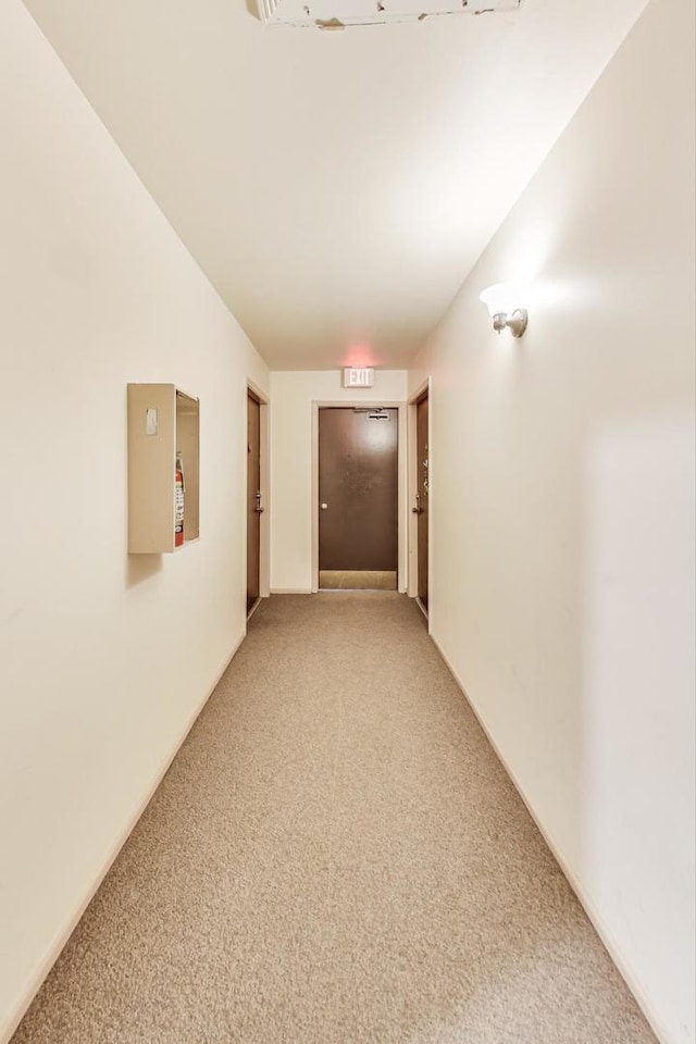 hall with carpet flooring