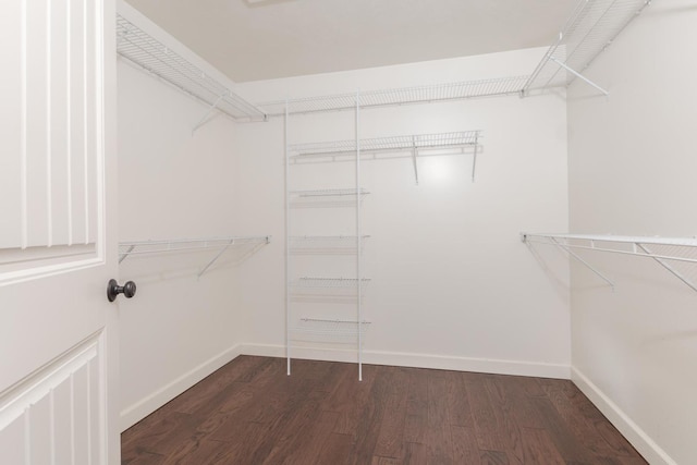 walk in closet featuring dark wood-style flooring