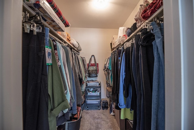 spacious closet with carpet floors