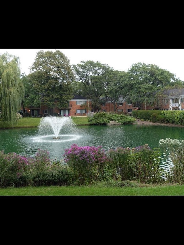 view of property's community with a water view