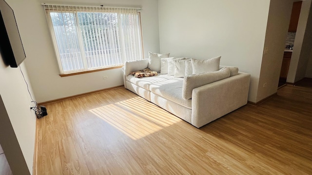 living room featuring wood-type flooring