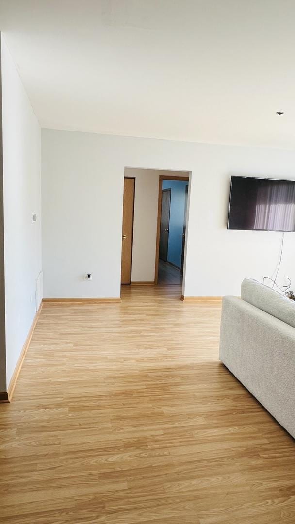 living room with light wood-type flooring