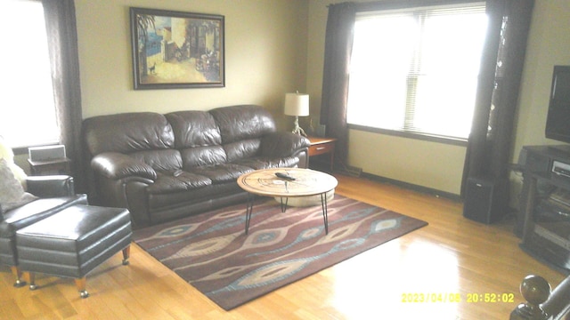 living room featuring hardwood / wood-style floors