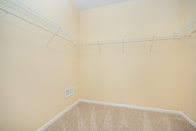 walk in closet with carpet