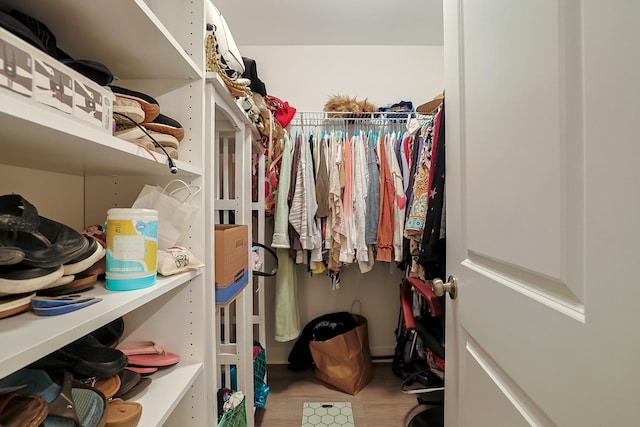 walk in closet with hardwood / wood-style flooring