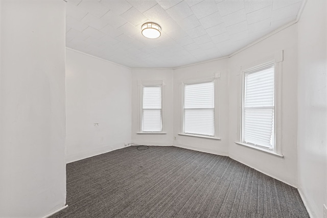 480 E Birch St, Kankakee, IL 60901 - unfurnished room featuring dark carpet, plenty of natural light, and ornamental molding