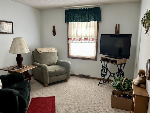 interior space featuring carpet floors and a textured ceiling