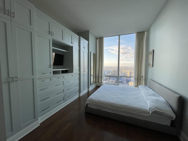 bedroom featuring dark wood-type flooring and floor to ceiling windows