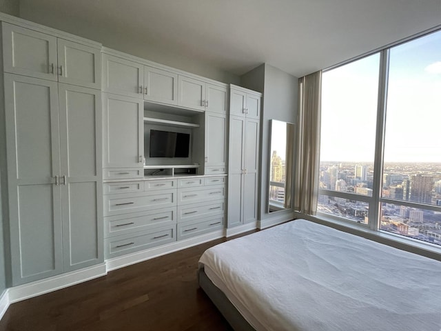 bedroom featuring dark hardwood / wood-style flooring