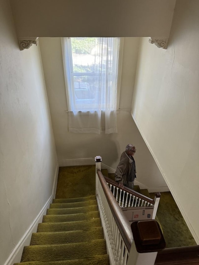 stairway featuring carpet