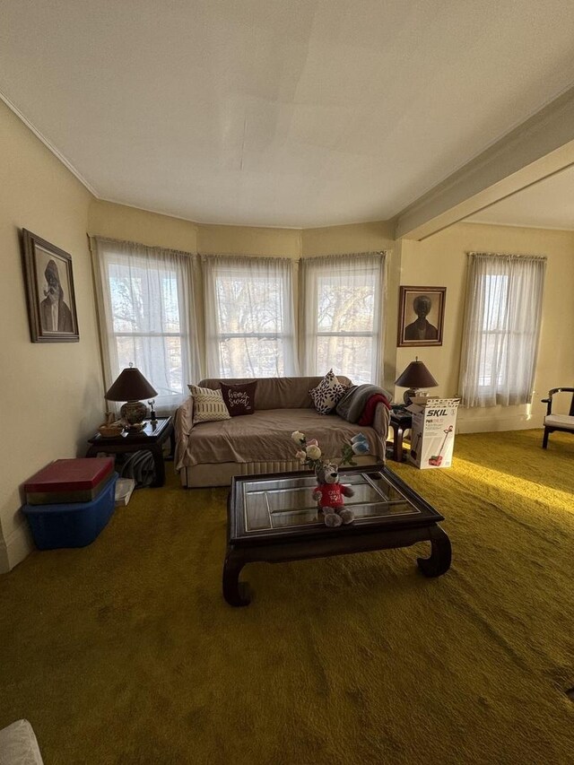 view of carpeted living area