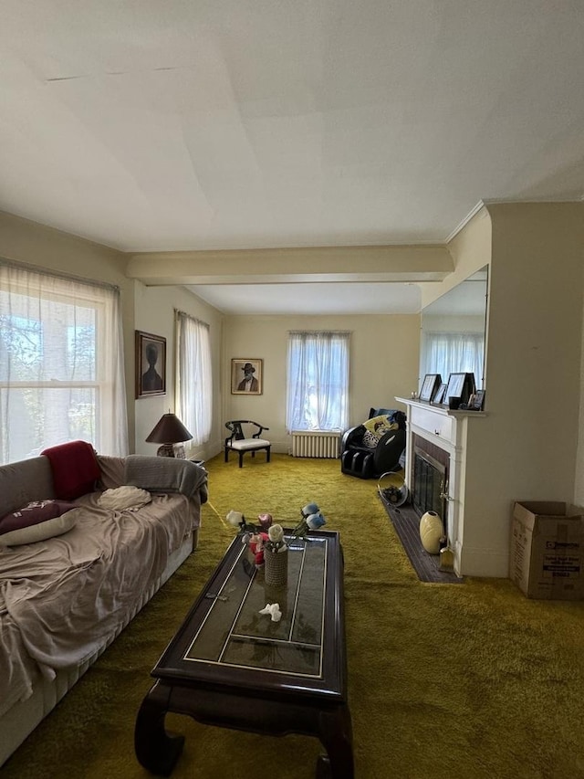 bedroom with a fireplace with flush hearth, radiator heating unit, and carpet flooring