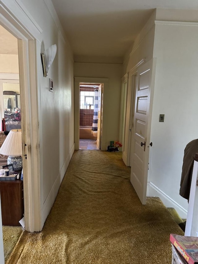 corridor with carpet and baseboards