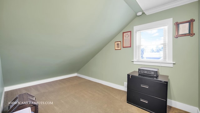 additional living space featuring lofted ceiling and light colored carpet