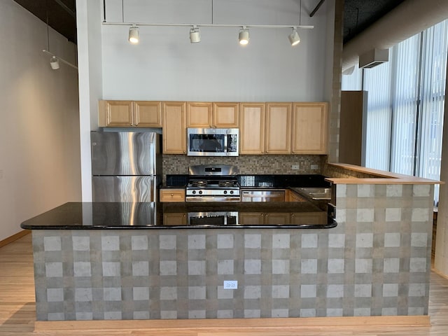 kitchen with tasteful backsplash, appliances with stainless steel finishes, light hardwood / wood-style floors, and decorative light fixtures