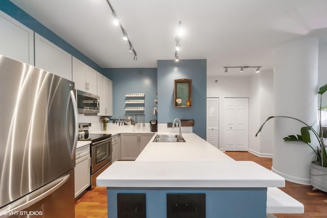 kitchen with stainless steel appliances, a center island, light hardwood / wood-style floors, sink, and track lighting