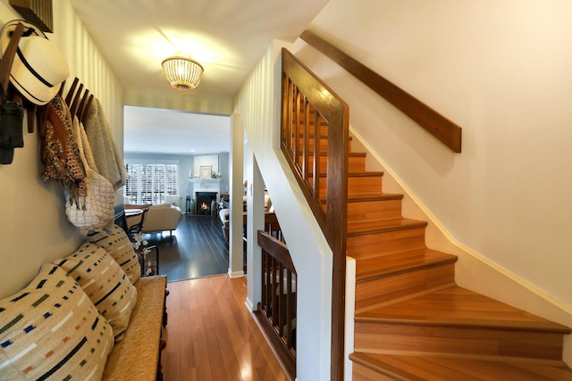 stairway with hardwood / wood-style floors