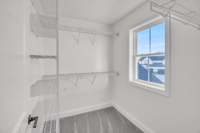 walk in closet featuring carpet flooring