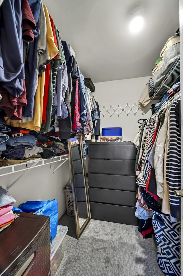 walk in closet featuring carpet