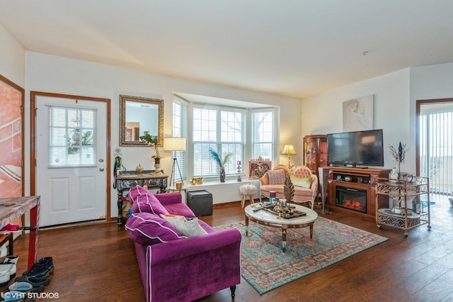 living room featuring plenty of natural light, wood finished floors, and a glass covered fireplace