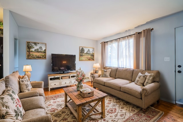 living room featuring light hardwood / wood-style floors