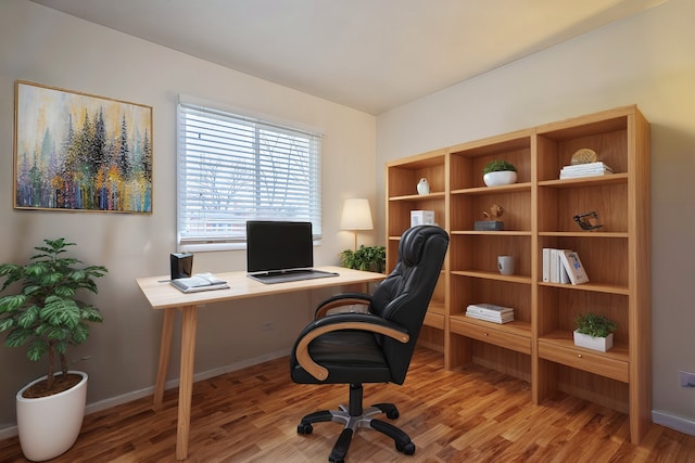 office with wood-type flooring