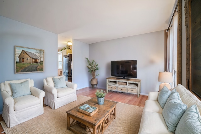 living room featuring hardwood / wood-style floors