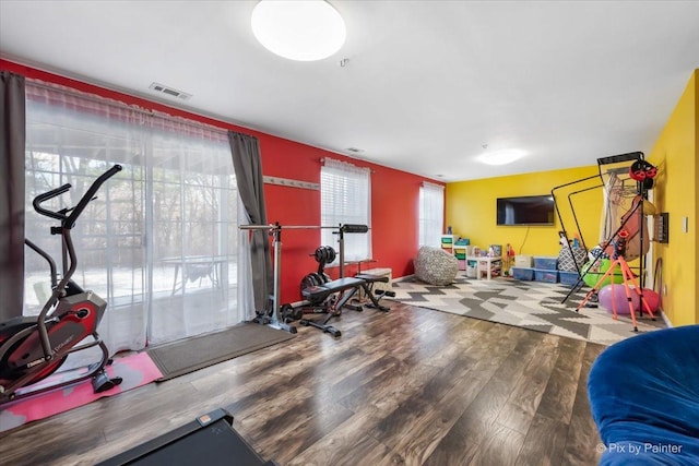 workout room featuring hardwood / wood-style flooring