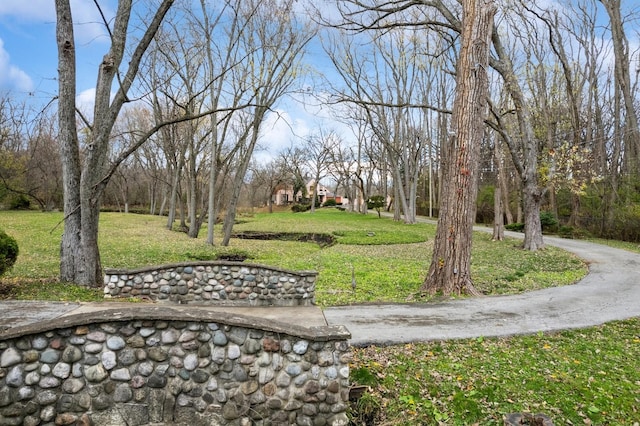 view of home's community featuring a yard