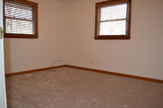 spare room with carpet flooring and a wealth of natural light