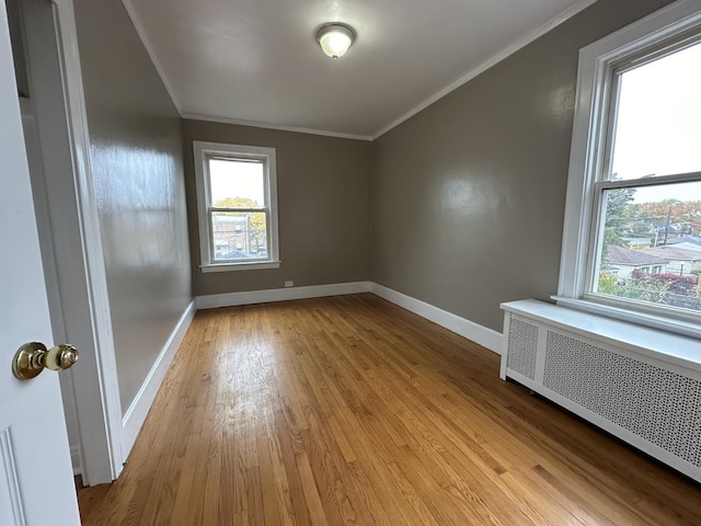 additional living space featuring radiator and light hardwood / wood-style flooring