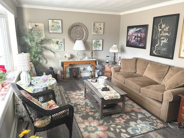 living room with dark wood-type flooring, ornamental molding, and plenty of natural light