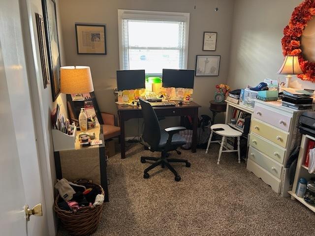 view of carpeted home office