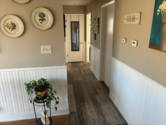 hall featuring dark wood-type flooring