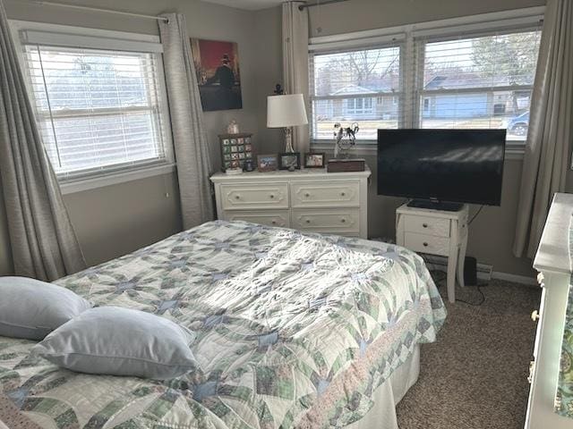 bedroom with carpet