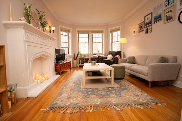 living room with light hardwood / wood-style flooring and ornamental molding