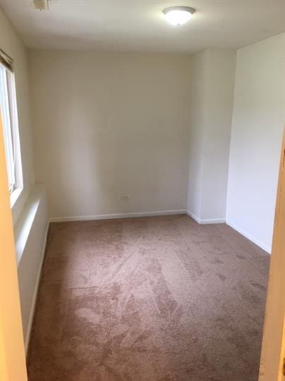 spare room featuring carpet