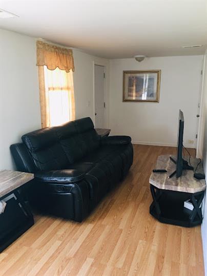 living room featuring wood-type flooring