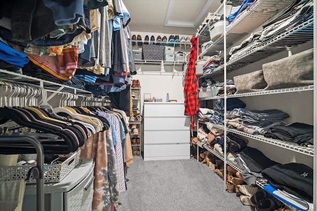 spacious closet featuring carpet