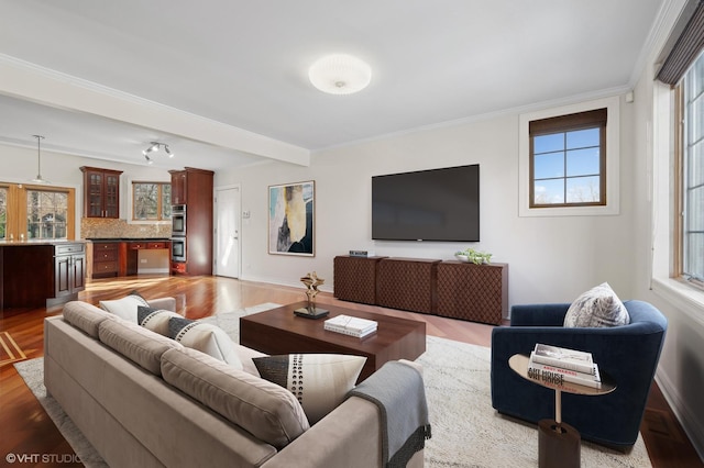 living room featuring crown molding, hardwood / wood-style floors, and a wealth of natural light