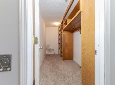 walk in closet with light carpet