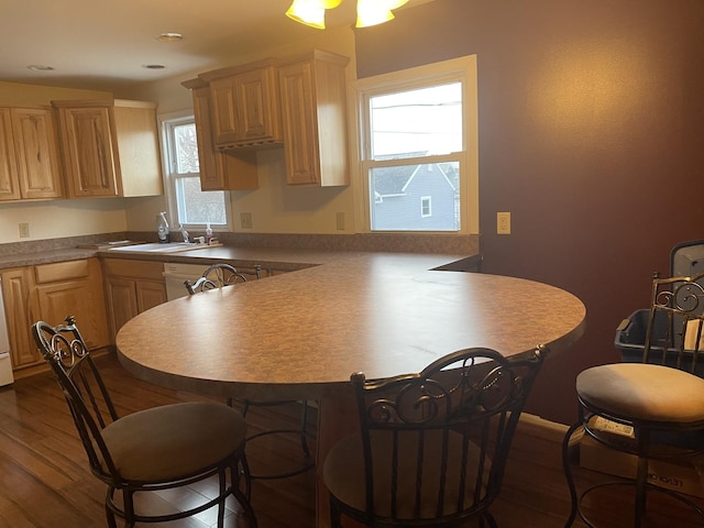 kitchen featuring hardwood / wood-style flooring, sink, light brown cabinets, and kitchen peninsula